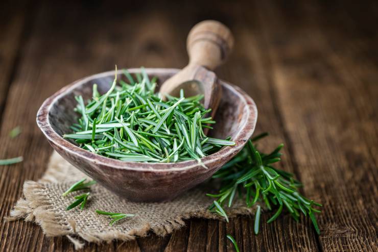 Türk baharatları, baharat ihracatı, Ege Bölgesi, defne, kekik, Turkish Tastes, ABD pazarı, baharat sektörü