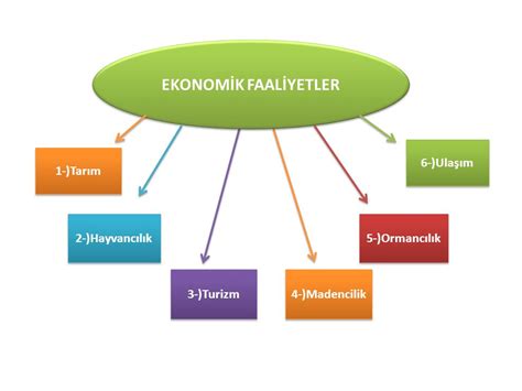 Bandırma’nın Ekonomik Gelişimi ve Ticaret Faaliyetleri