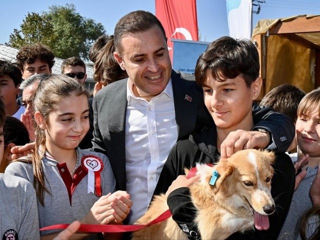 Balıkesir sokak hayvanları, hayvan sahiplendirme, Vetbüs, Vetbulans, sokak hayvanı tedavisi, hayvan bakımevi, Balıkesir Büyükşehir Belediyesi projeleri