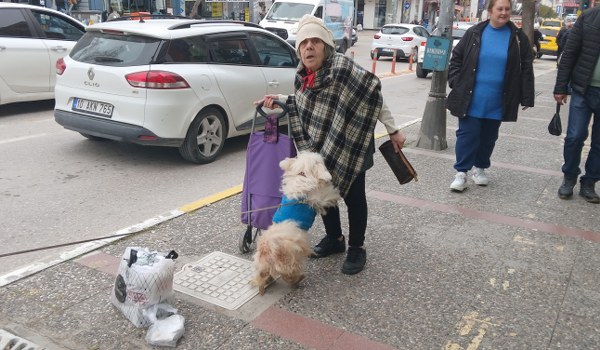 köpeği Bağlı Unuttu; Sebebi Pes Dedirtti