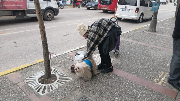 köpeği Bağlı Unuttu; Sebebi Pes Dedirtti