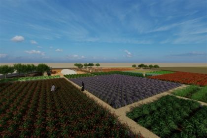420080810