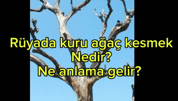 Rüyada Ateş Yakmaya Çalışmak