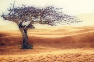 Rüyada Ateş Yakmaya Çalışmak