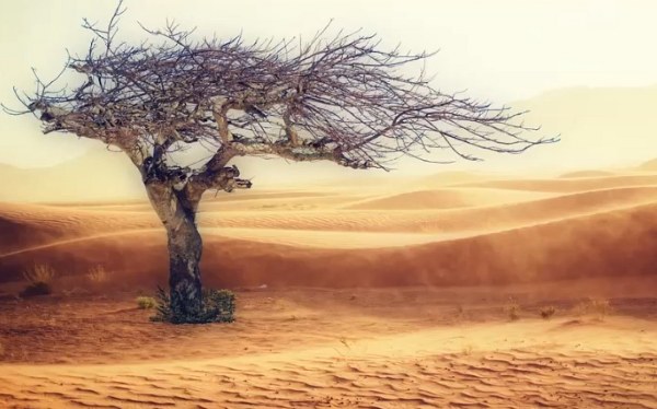 Rüyada Ateş Yakmaya Çalışmak