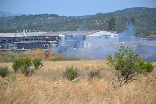 Ayvalık'ta Yangın Kontrol Altına Alındı