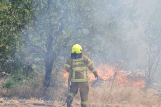 Balıkesir İtfaiyesi 12 Günde 971 Yangına Müdahale Etti
