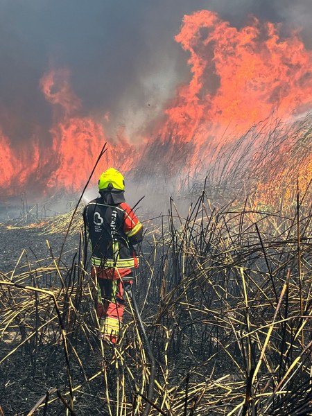 Balıkesir İtfaiyesi 12 Günde 971 Yangına Müdahale Etti