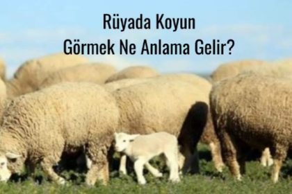 https://www.velhasilgazetesi.com/