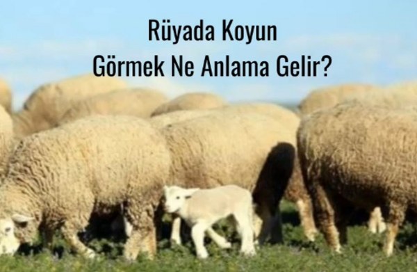 https://www.velhasilgazetesi.com/