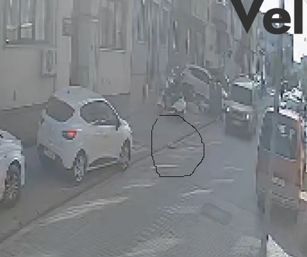 Aracıyla Sokak Kedisinin Üzerinden Geçti