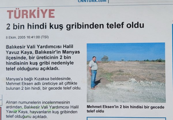 KUŞ GRİBİNDEN KUŞLAR AKLANDI MI