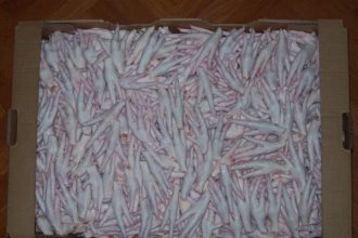 Türkiye Çin’e Tavuk Ayağı İhracatına Yeniden Başlamak İstiyor