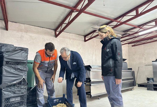 Bandırma Belediyesi'nden Sahipsiz Hayvanlar İçin Örnek Proje