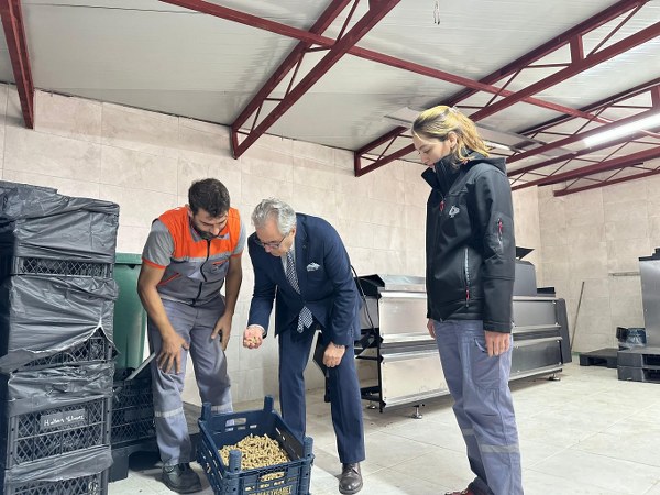 Bandırma Belediyesi'nden Sahipsiz Hayvanlar İçin Örnek Proje