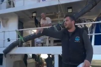 Paşalimanı’nda balıkçılar kasalar dolusu balık dağıttı