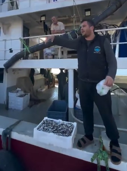 Paşalimanı’nda balıkçılar kasalar dolusu balık dağıttı