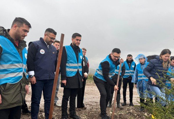 AK Gençlik’ten Fidan Dikim Seferberliği