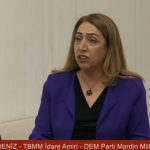 DEM Partili Aydeniz; Kürtler Asla Türk Olmayacak