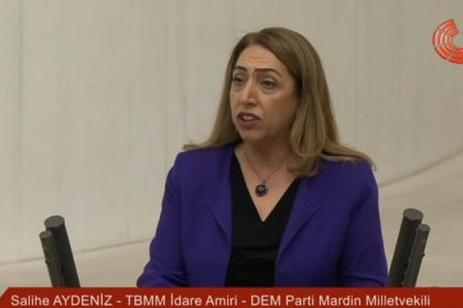 DEM Partili Aydeniz; Kürtler Asla Türk Olmayacak