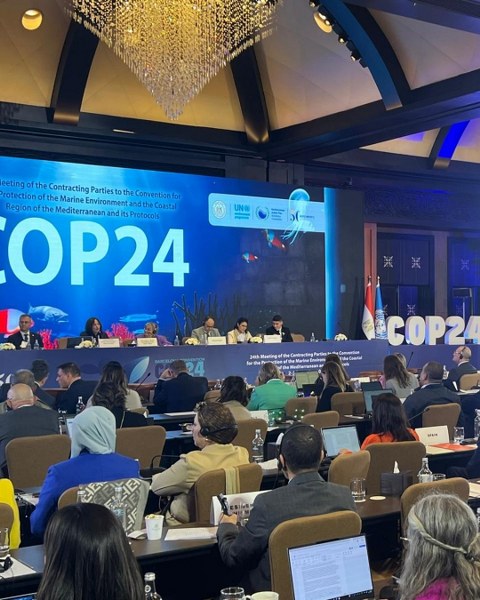 Balıkesir’e “Çevre Dostu Belediyecilikte” uluslararası başarı ödülü   