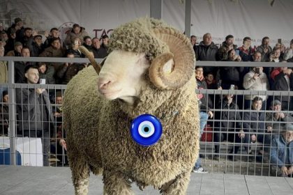 Bir Koç 1 Milyon 110 bin TL