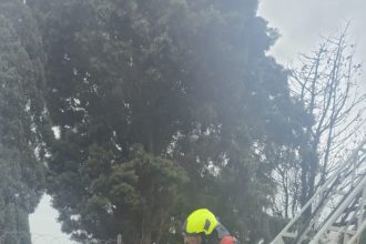 IMG 20260330 WA0103