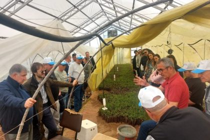 Bandırma Ticaret Borsası’ndan zeytin sektörüne teknik gezi