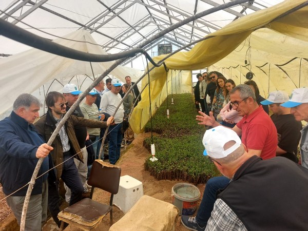 Bandırma Ticaret Borsası’ndan zeytin sektörüne teknik gezi