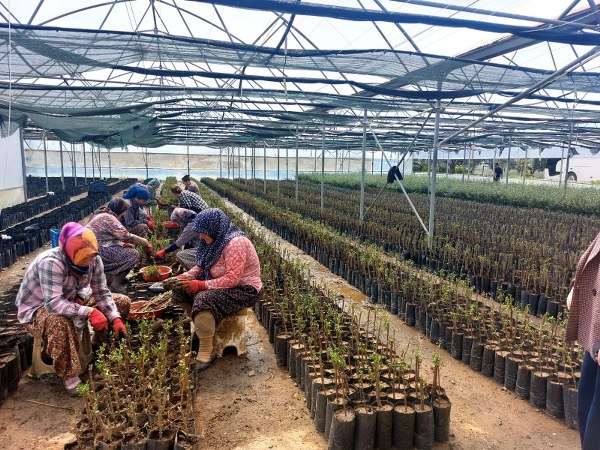 Bandırma Ticaret Borsası’ndan zeytin sektörüne teknik gezi 4 Bandırma Ticaret Borsası’ndan zeytin sektörüne teknik gezi