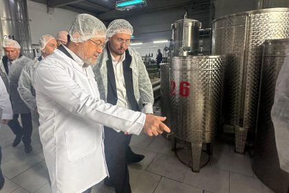 Tarım Bakanı Yumaklı, Ayvalık zeytinyağı üretimini yerinde inceledi