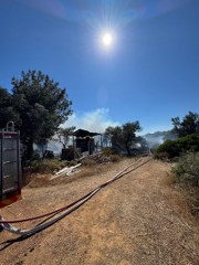 Ayvalık Cunda’da Çiftlik Yangını Ormana Sıçradı 2 Ayvalık Cunda’da Çiftlik Yangını Ormana Sıçradı