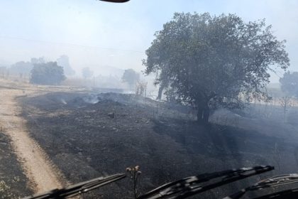 Gönen’de Üç Noktada Yangın 13 Dönüm Arpa Zarar Gördü