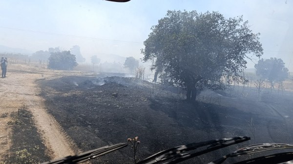 Gönen’de Üç Noktada Yangın 13 Dönüm Arpa Zarar Gördü